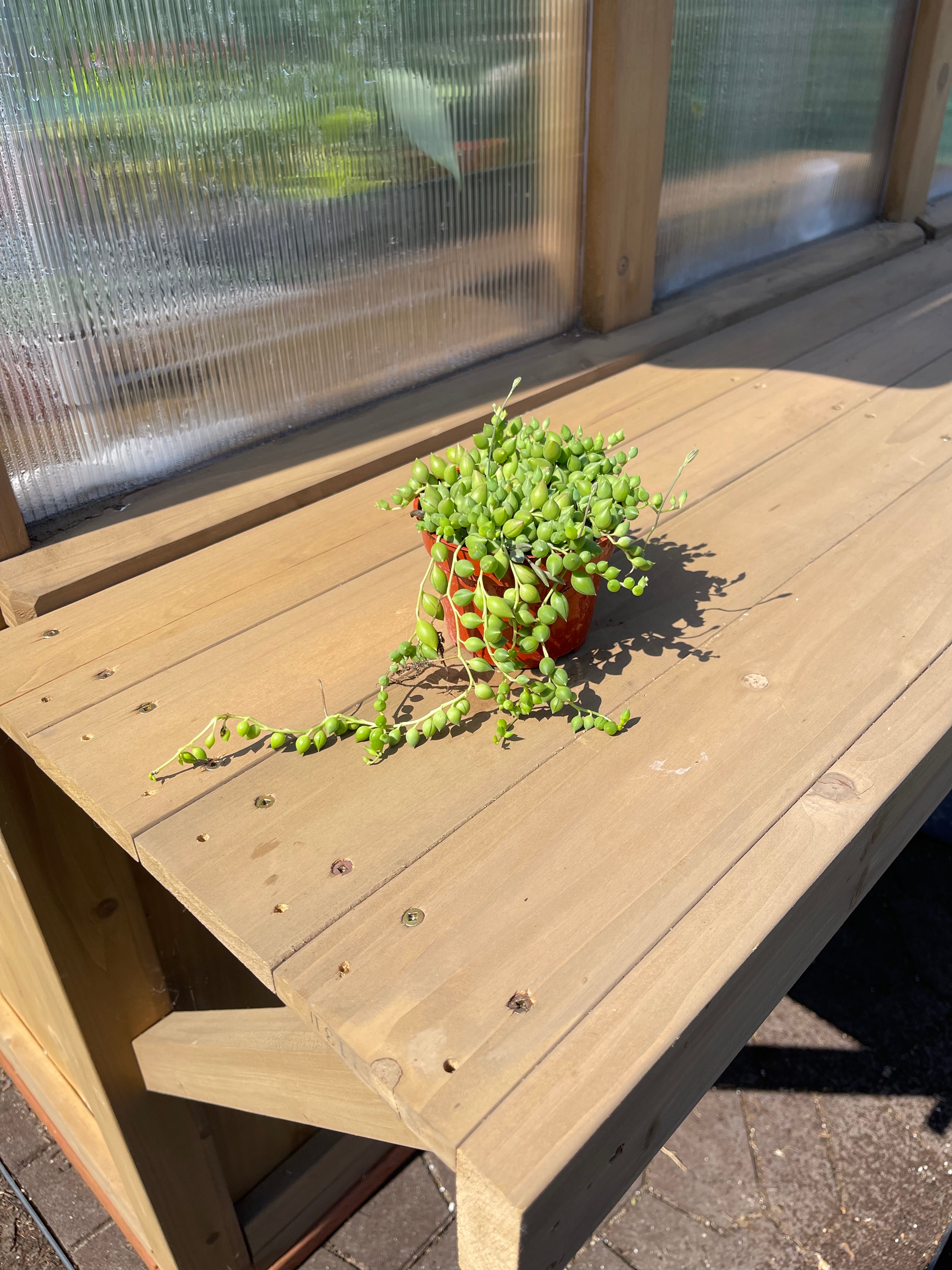 4 inch “String of Tears” – The Unfurling Factory LLC